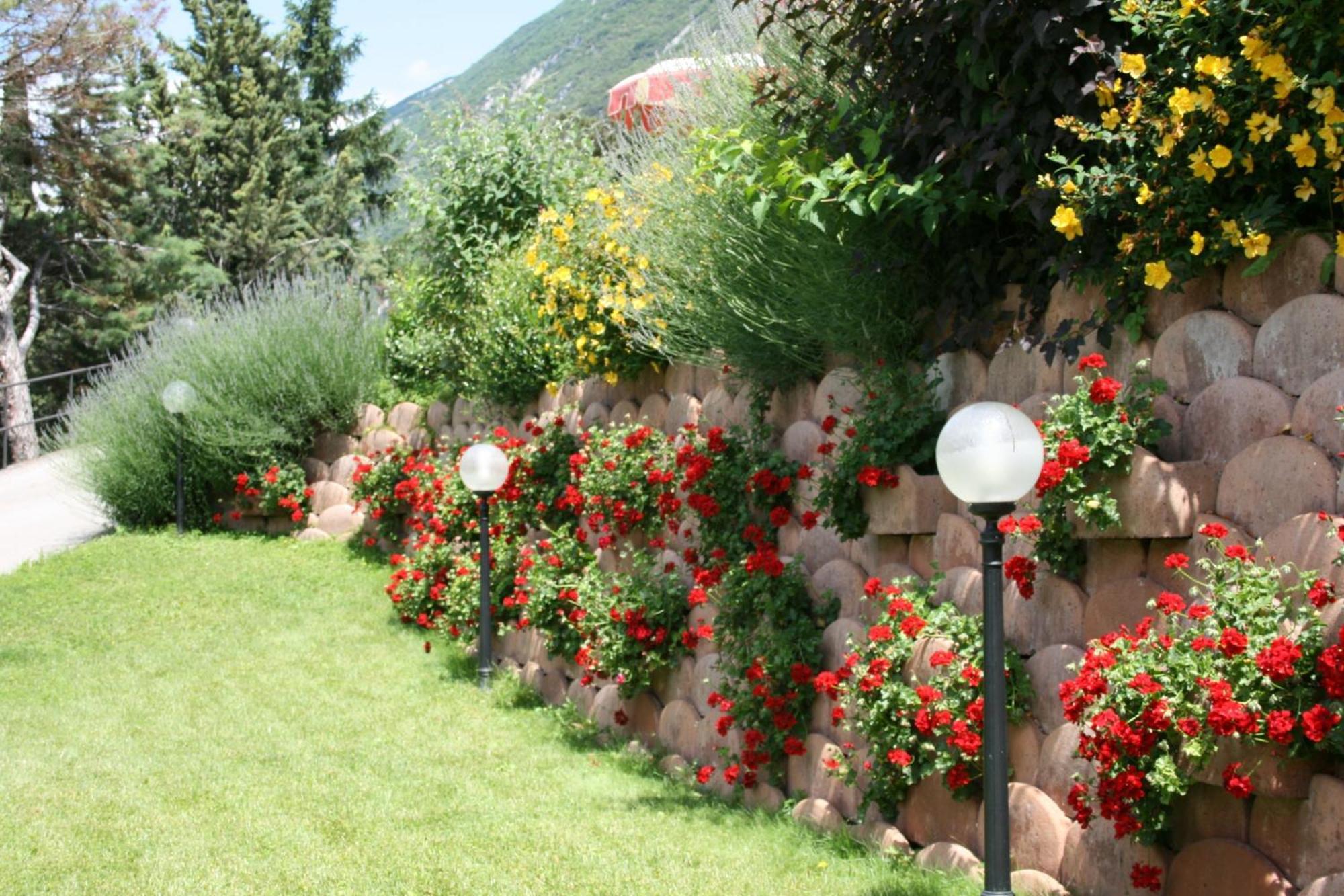 Hotel Oasi 3*